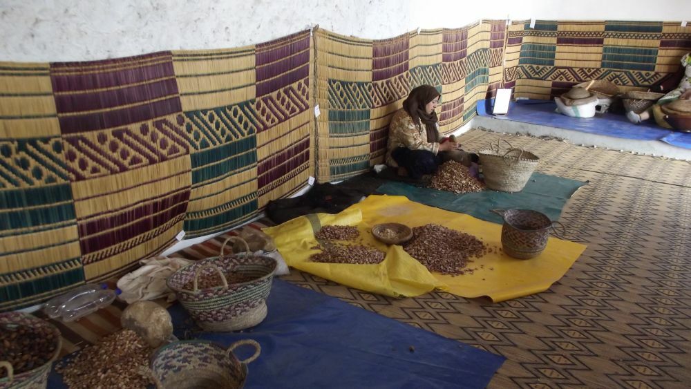 Argan oil manufacture