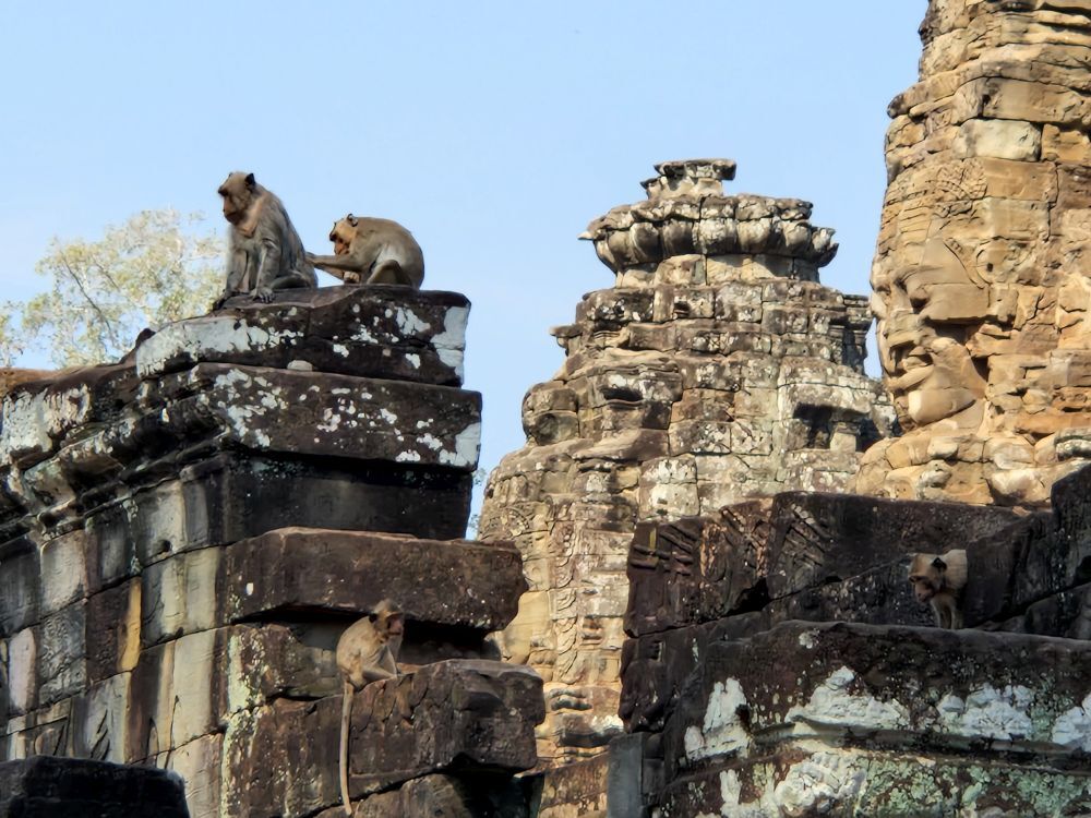Angkor Wat