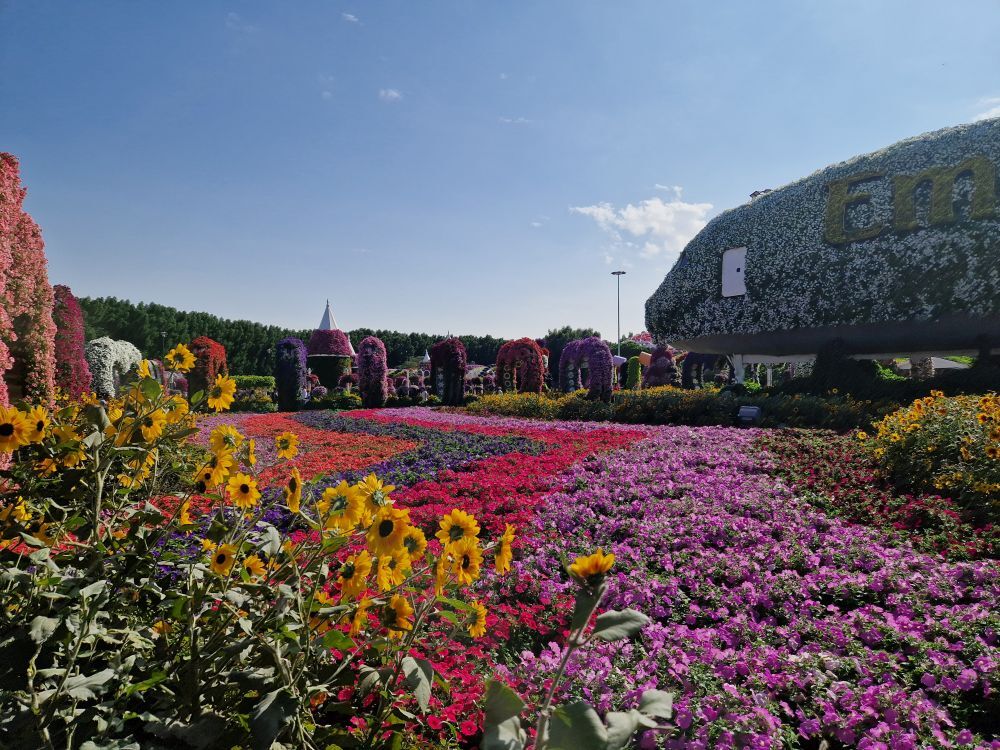 Miracle Garden