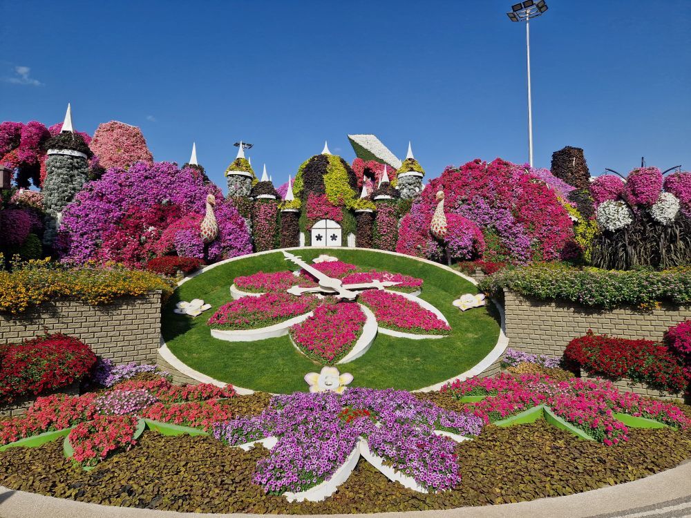 Miracle Garden