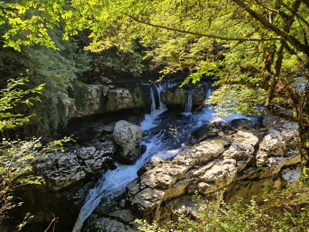 Martvili Canyon