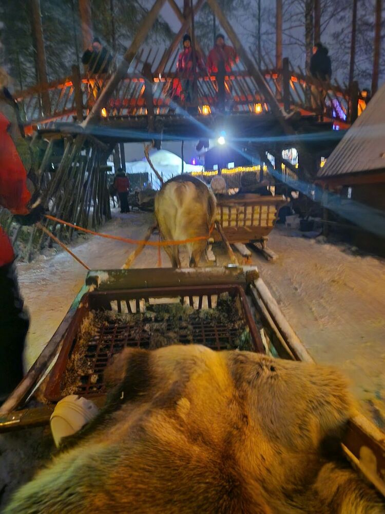 Reindeer sled