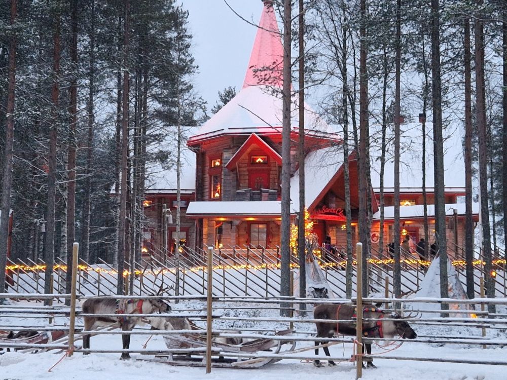 Reindeer sled