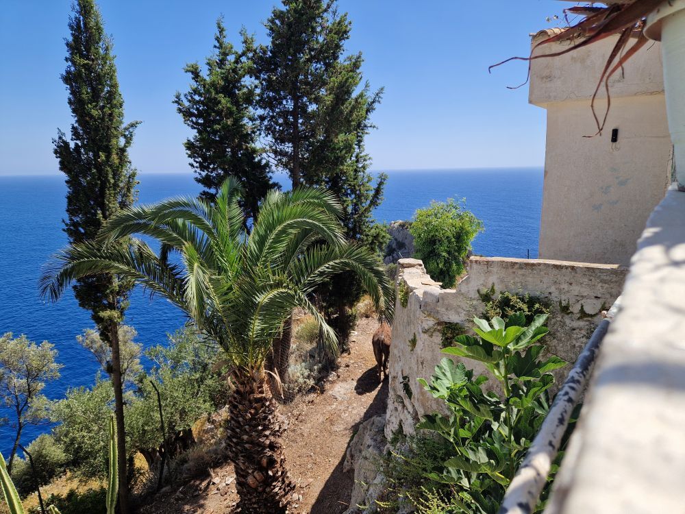 Corfu