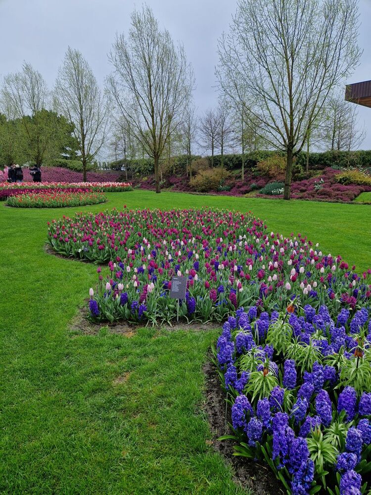 Keukenhof