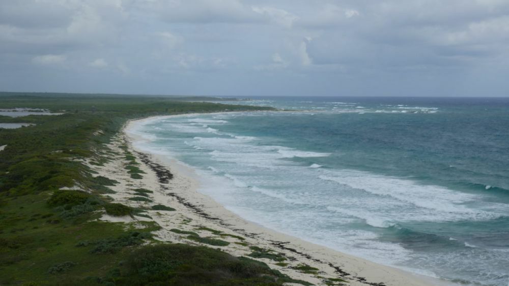 Cozumel